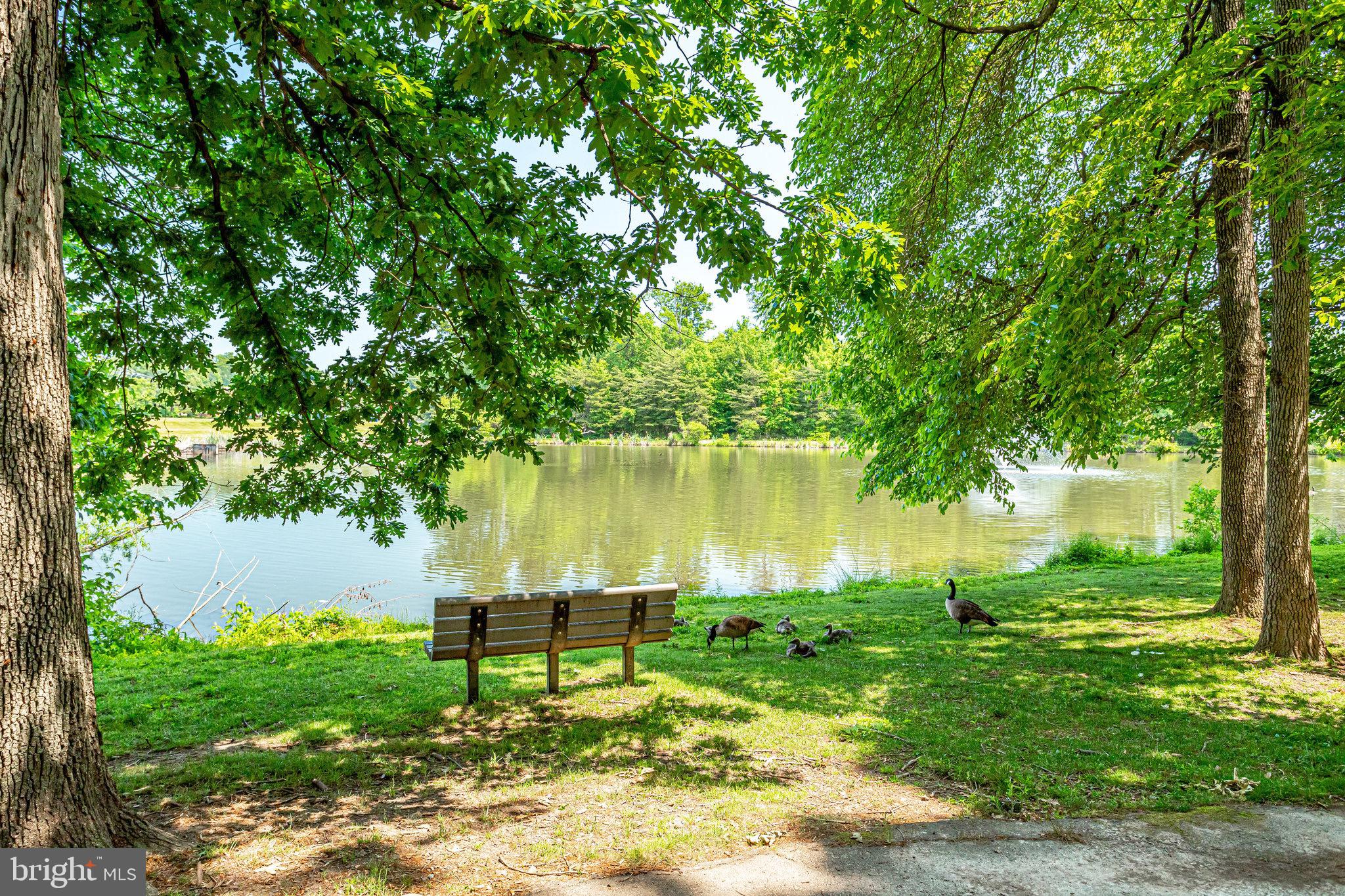 12034 Edgemere Circle Reston, VA 20190 - Photo 39 of 49 Take a stroll or relax around the pond