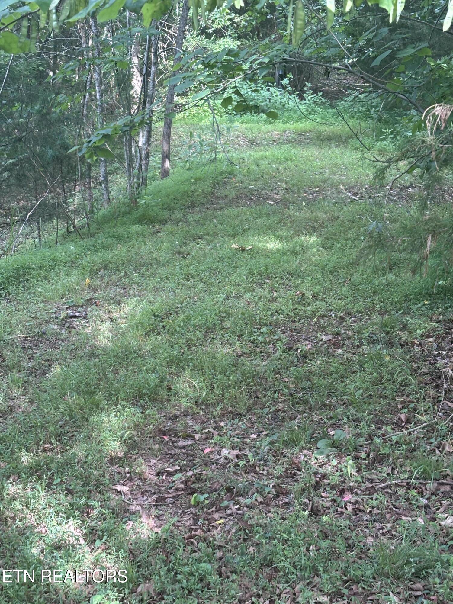 2327 Boat Dock Road Talbott, TN 37877 - Photo 9 of 13 IMG_0027