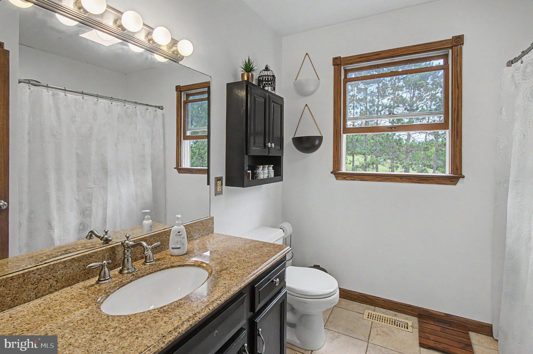 595 Pysell Crosscut Road Oakland, MD 21550 - Photo 33 of 61 Bright and airy bathroom retreat.