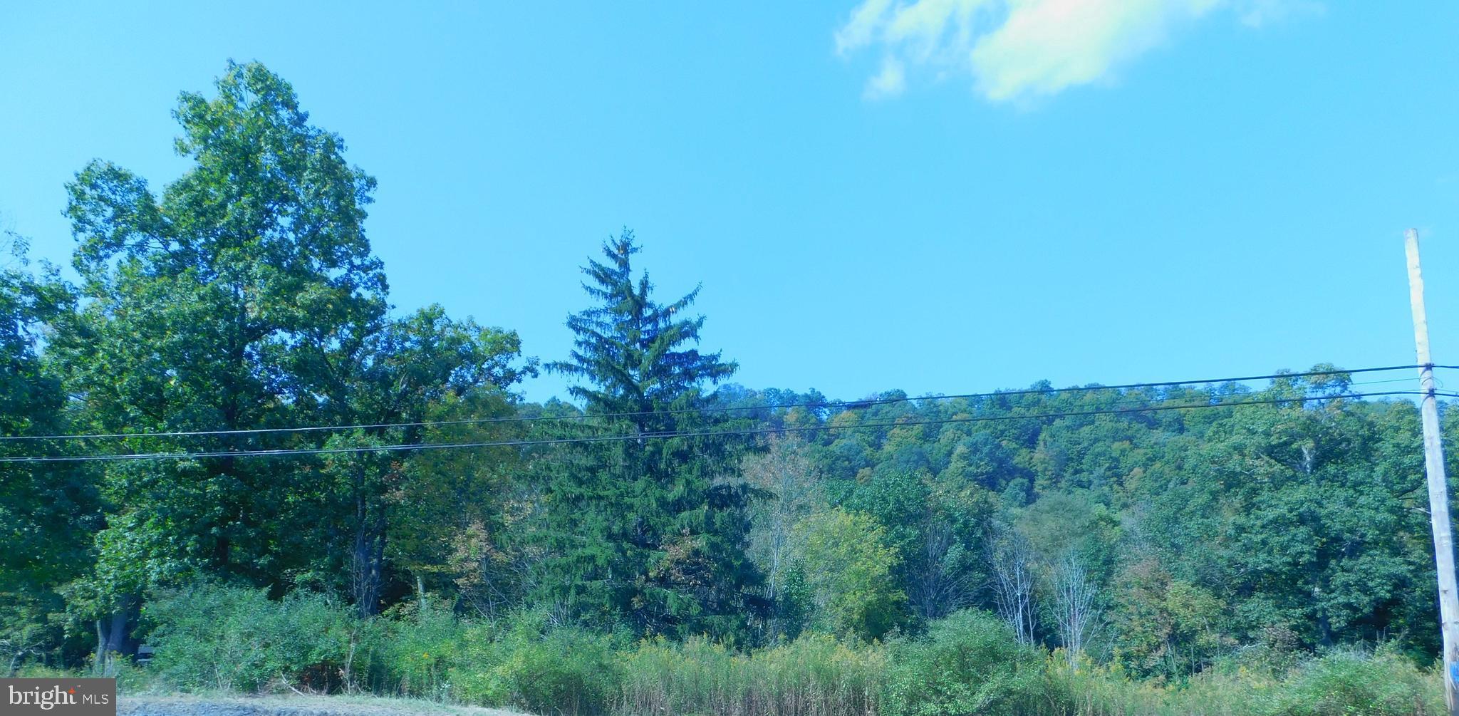 12103 Vale Summit Road Southwest Frostburg, MD 21532 - Photo 12 of 22 Gallery Image 12