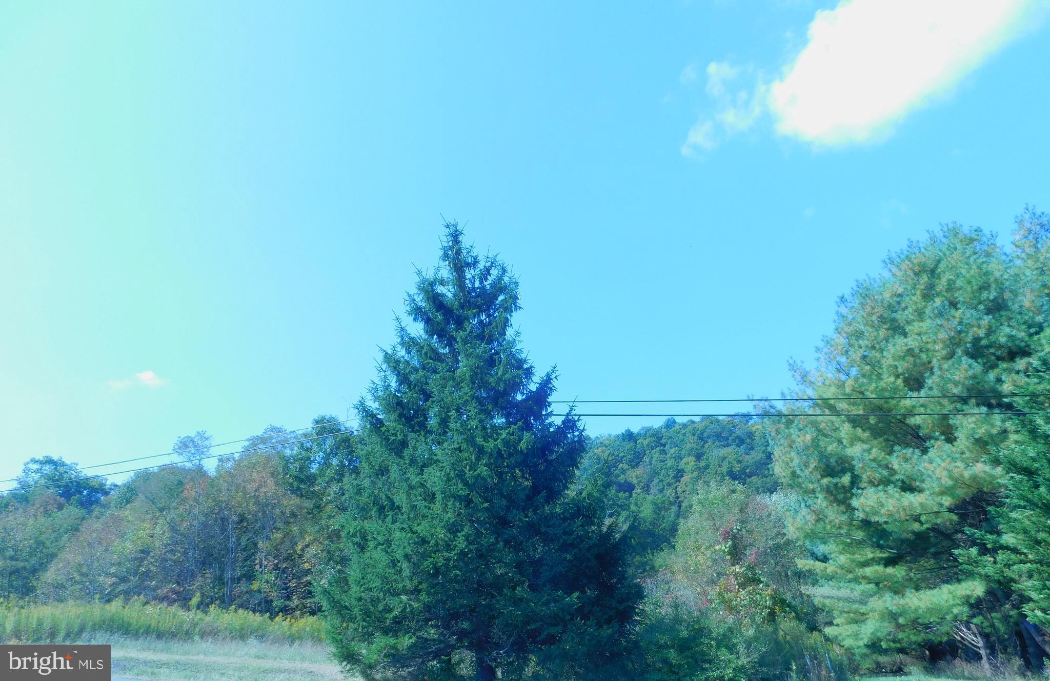 12103 Vale Summit Road Southwest Frostburg, MD 21532 - Photo 16 of 22 Gallery Image 16
