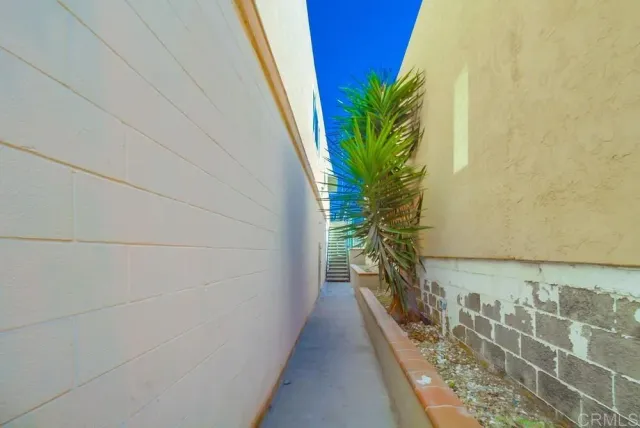 a view of a potted plant in front of a door