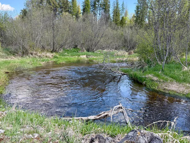 $3,995,000 | 3216 Dufort Road, Sagle, ID 83860