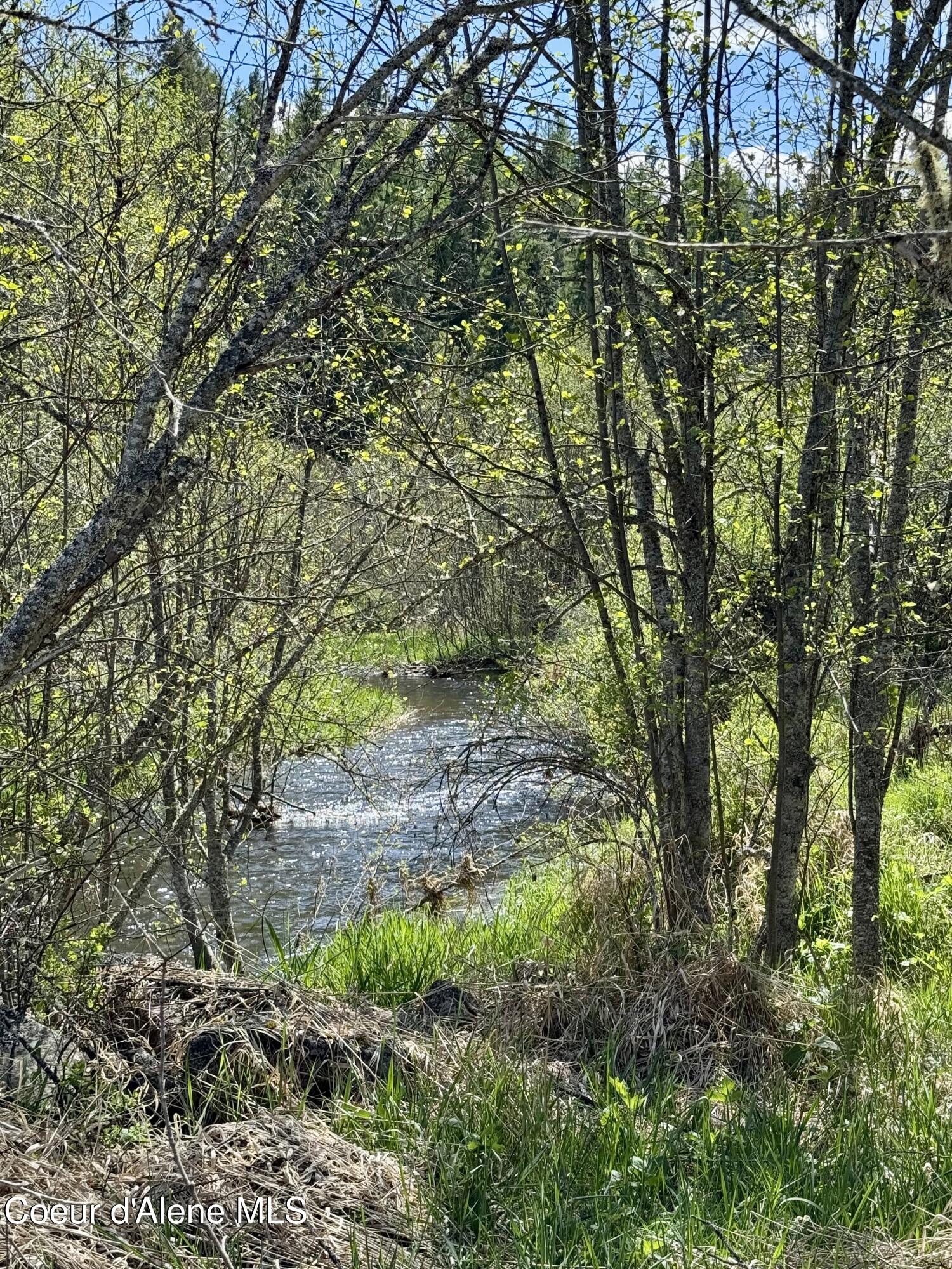 3216 Dufort Road Sagle, ID 83860 - Photo 18 of 99 IMG_1666