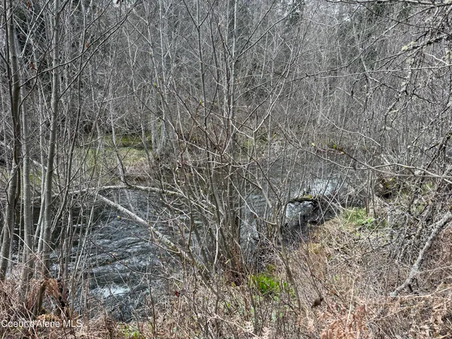 $3,995,000 | 3216 Dufort Road, Sagle, ID 83860