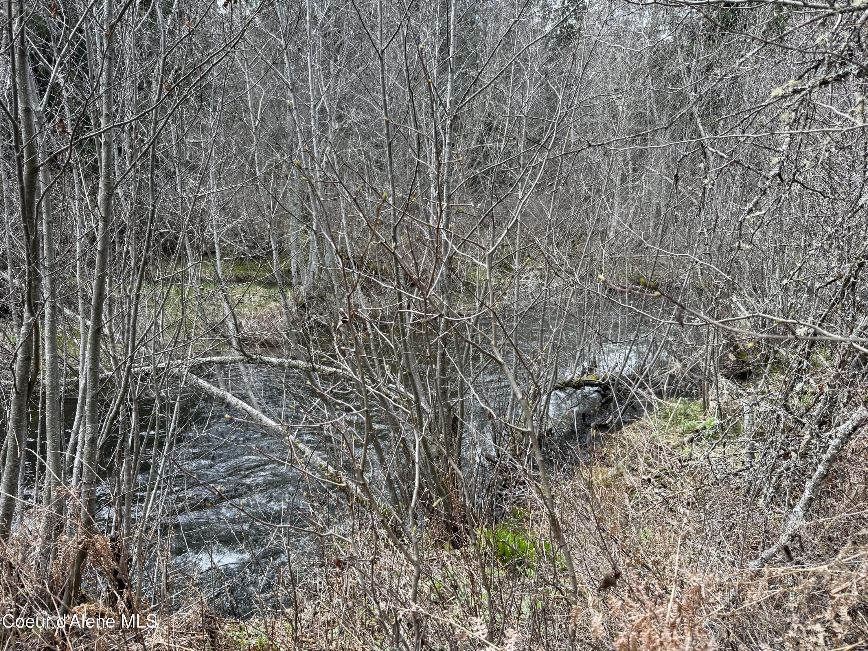 3216 Dufort Road Sagle, ID 83860 - Photo 21 of 99 IMG_1338