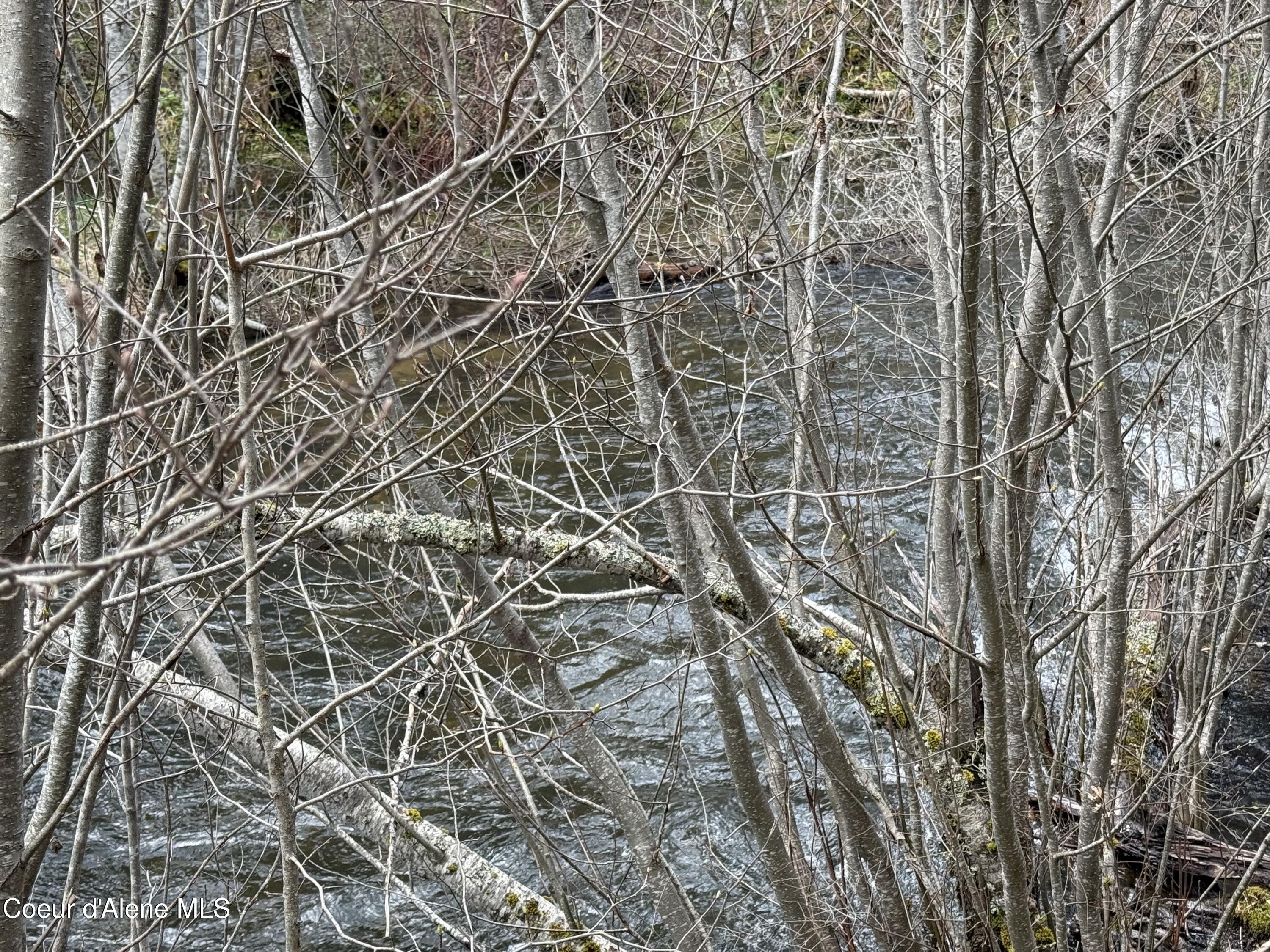 3216 Dufort Road Sagle, ID 83860 - Photo 22 of 99 IMG_6366