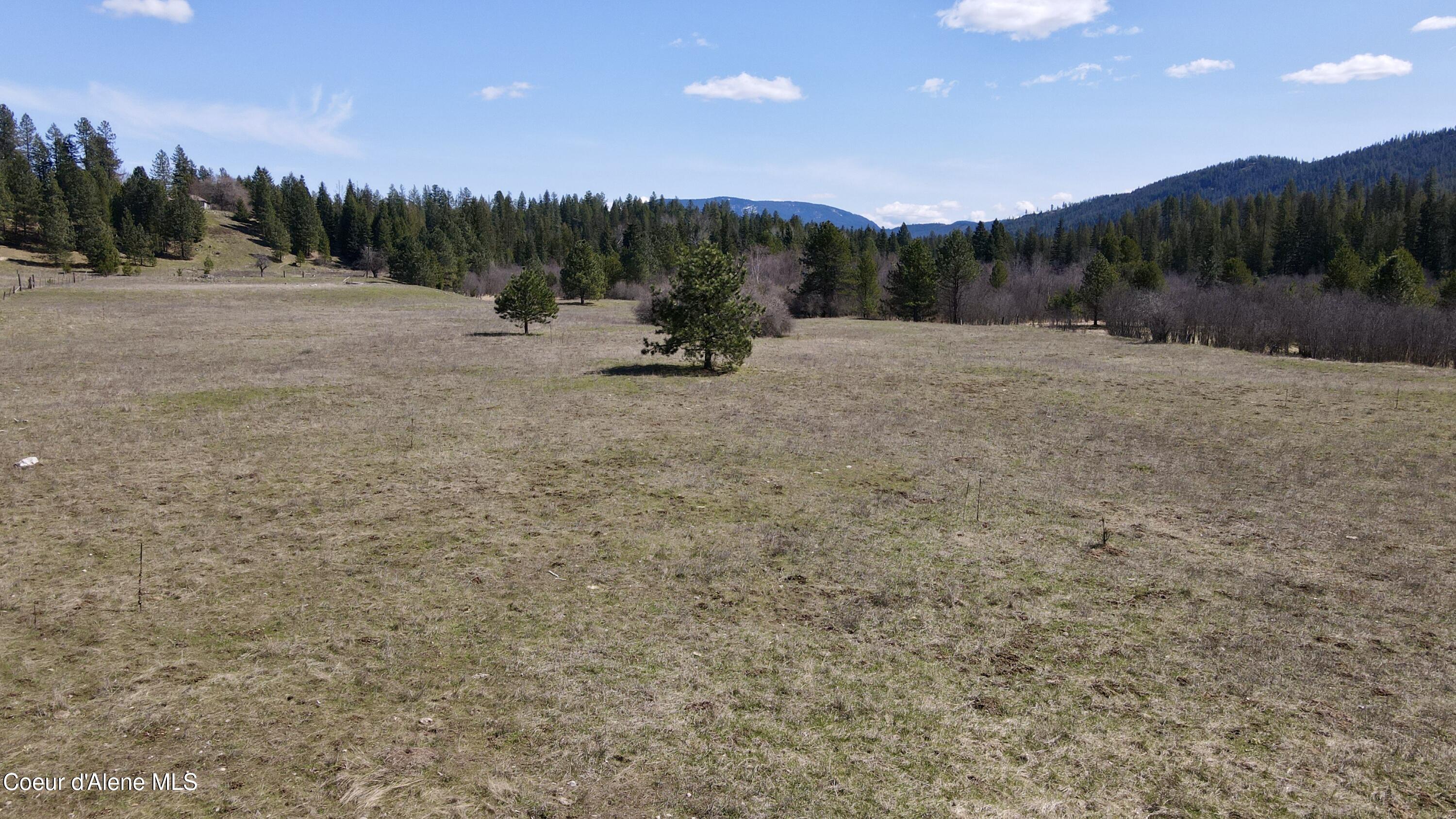 3216 Dufort Road Sagle, ID 83860 - Photo 27 of 99 Aerial Lower Pasture 2