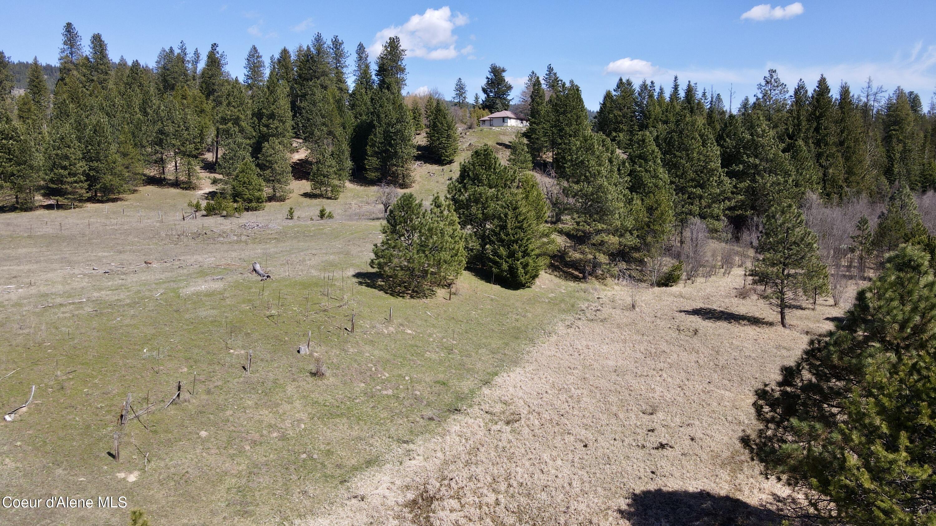 3216 Dufort Road Sagle, ID 83860 - Photo 28 of 99 View up to house 2