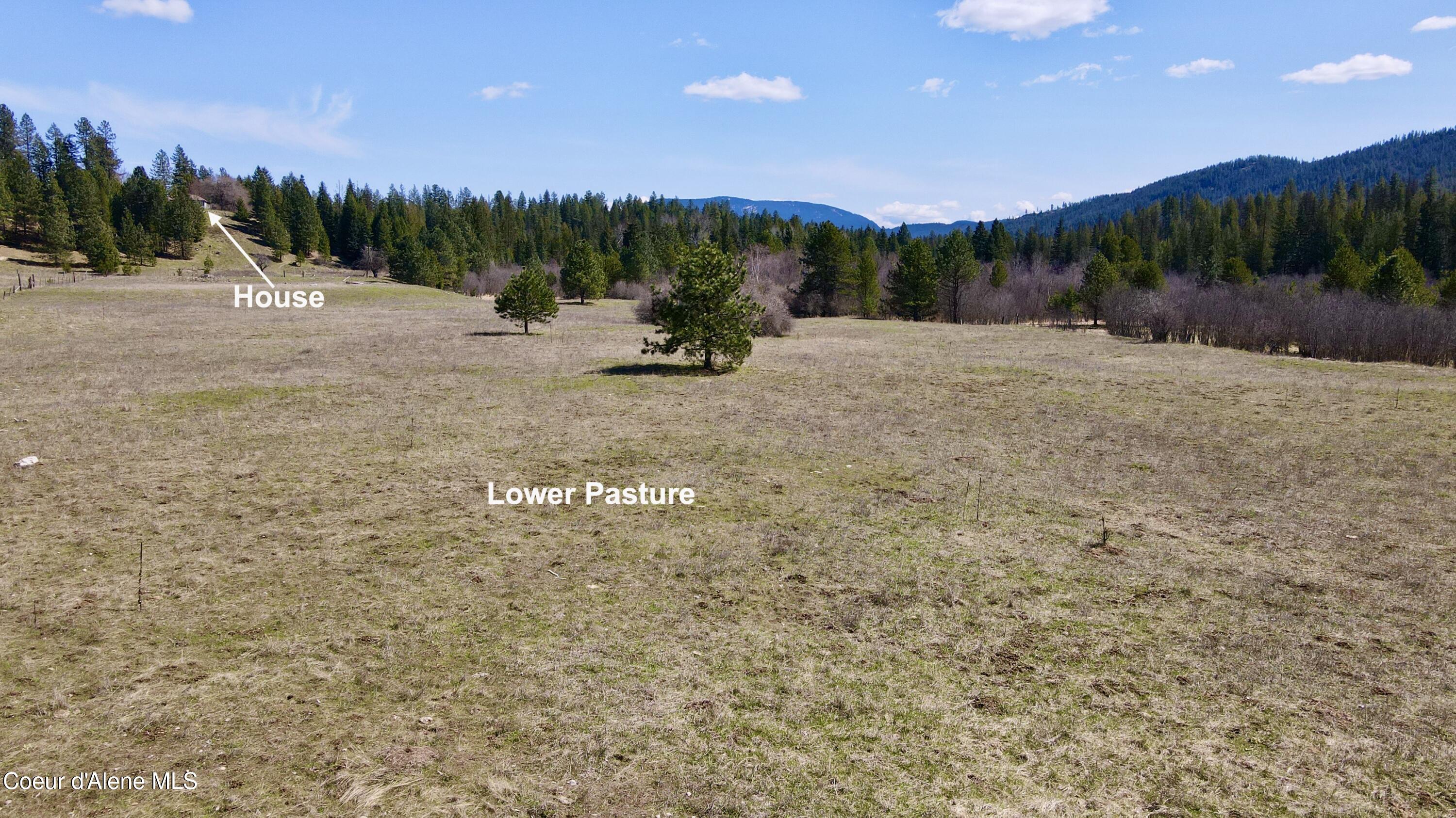 3216 Dufort Road Sagle, ID 83860 - Photo 52 of 99 Lower Pasture 2