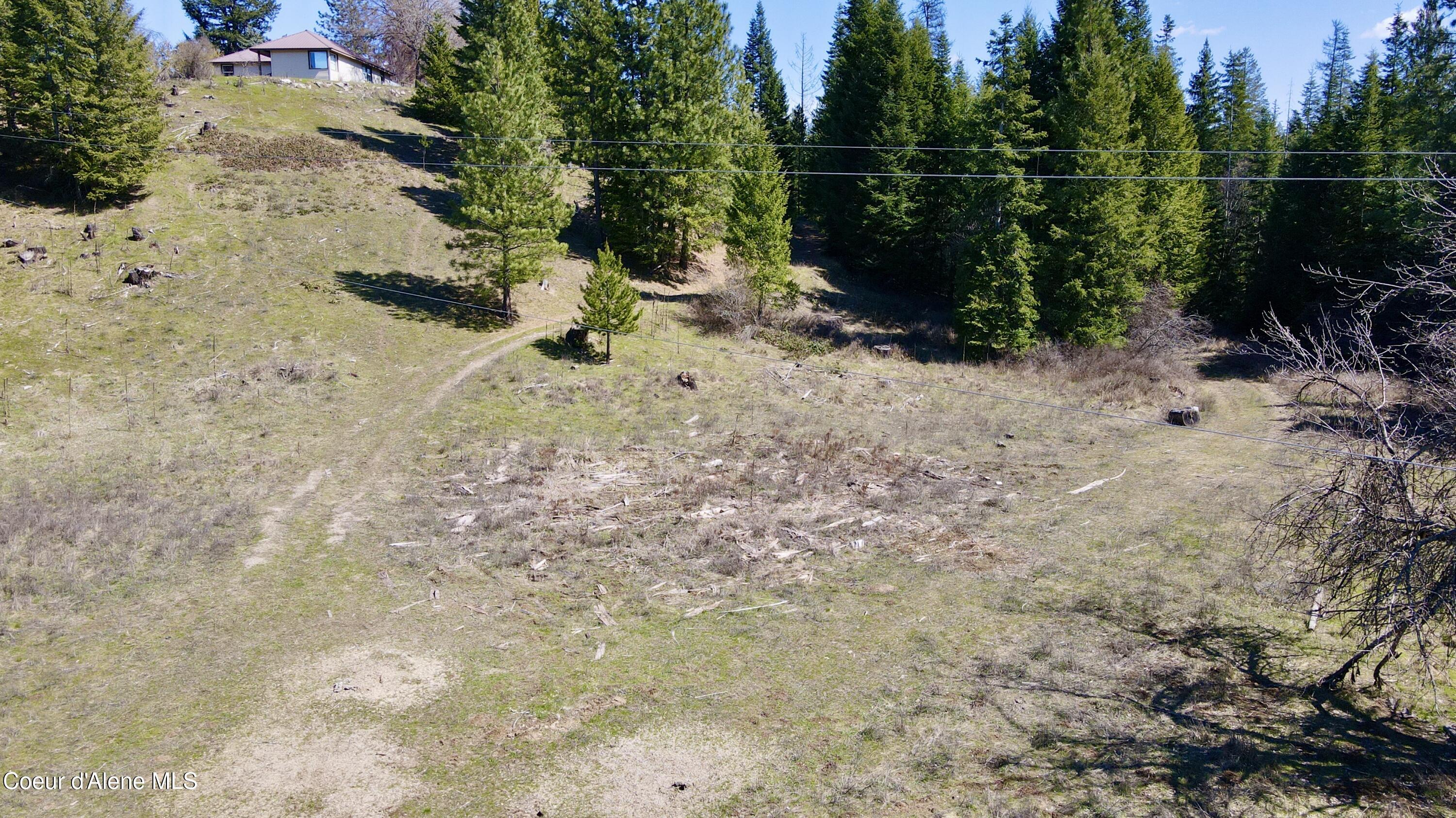3216 Dufort Road Sagle, ID 83860 - Photo 53 of 99 Road to house from lower pasture 2