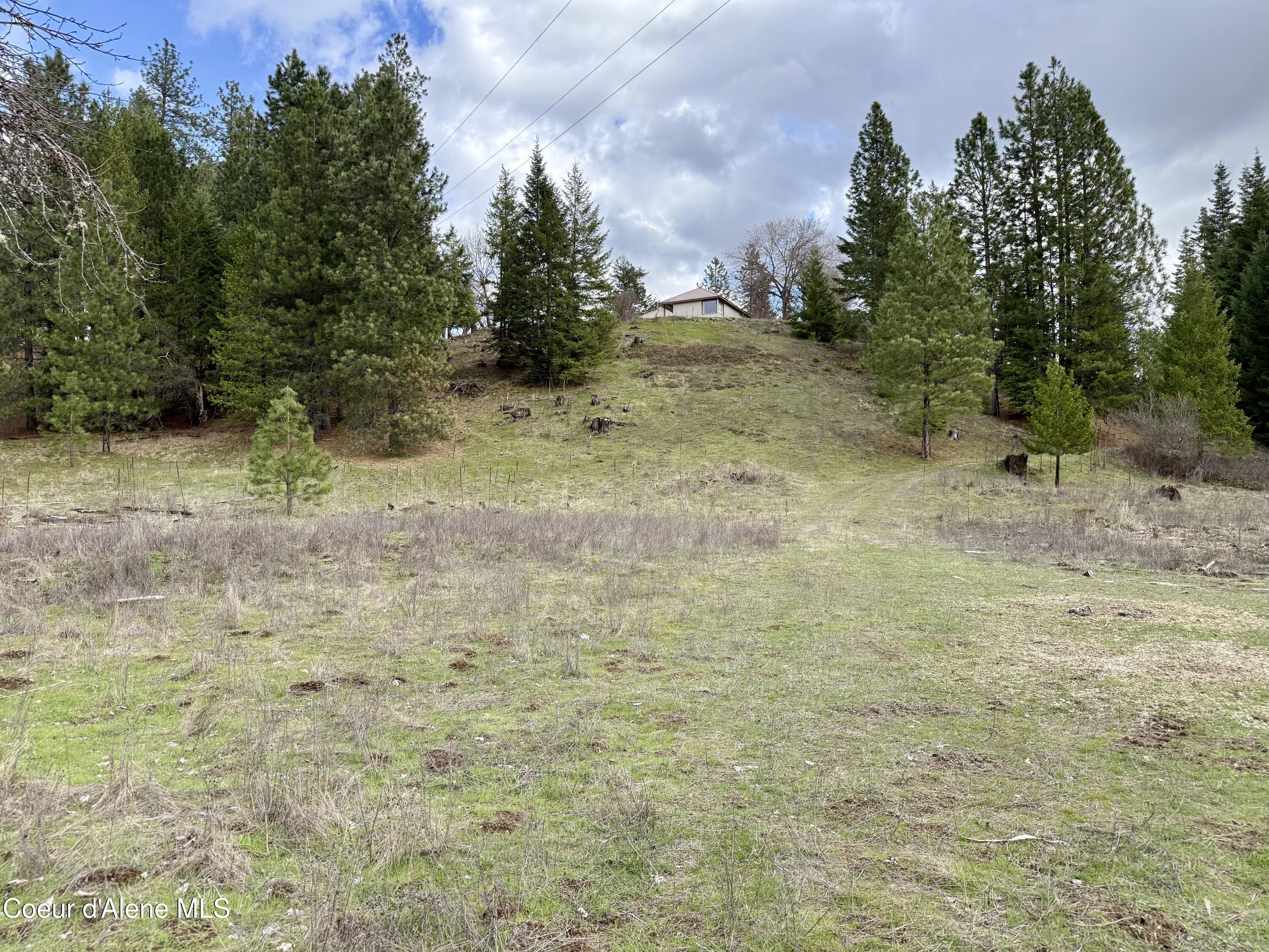 3216 Dufort Road Sagle, ID 83860 - Photo 56 of 99 IMG_1348