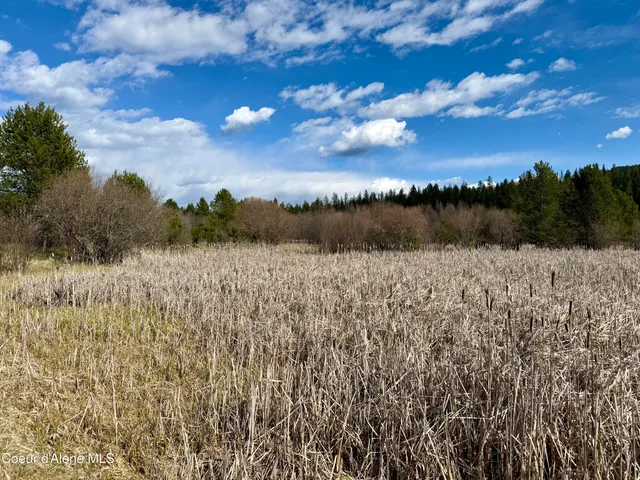 $3,995,000 | 3216 Dufort Road, Sagle, ID 83860