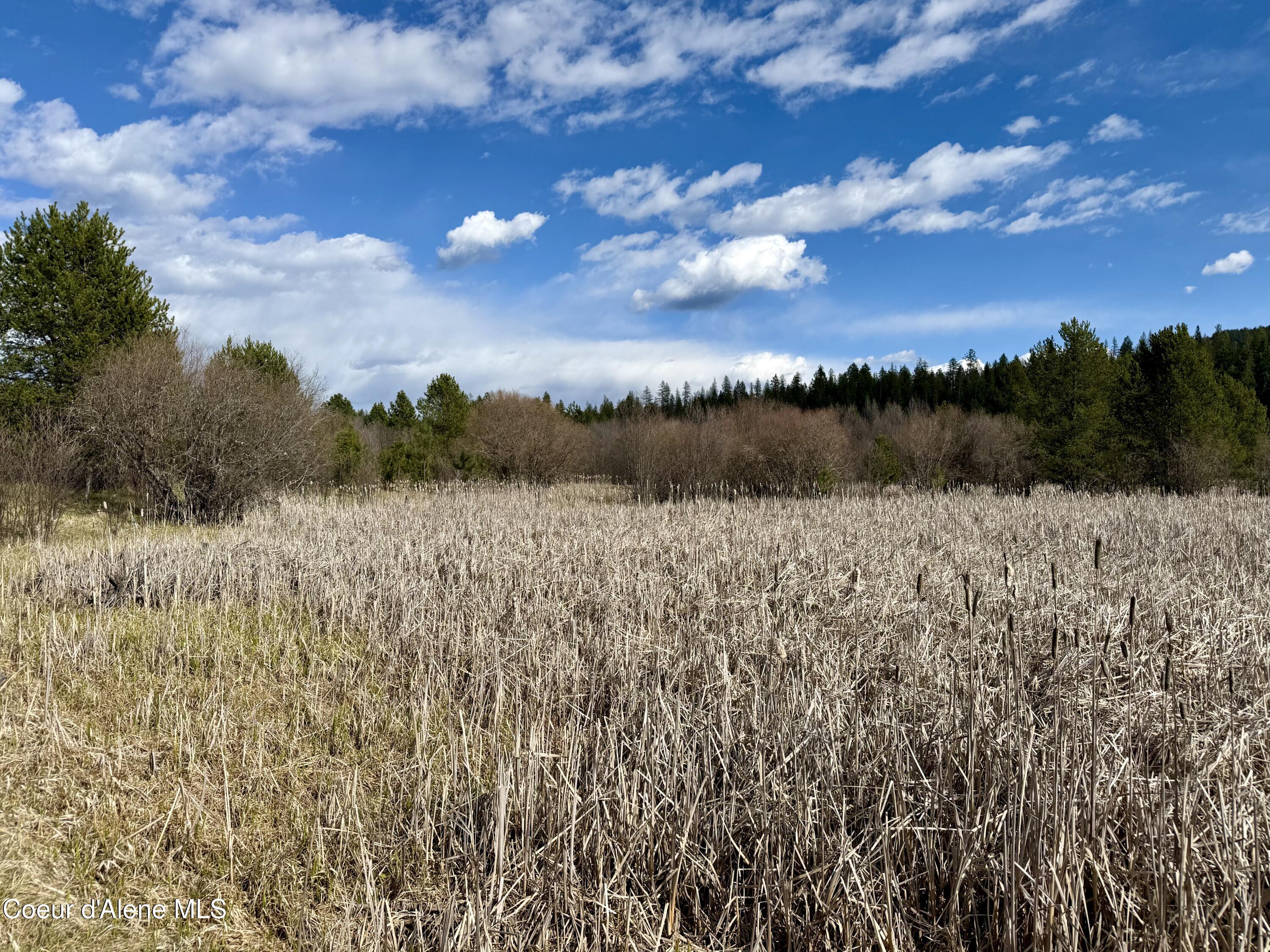 3216 Dufort Road Sagle, ID 83860 - Photo 74 of 99 IMG_1461