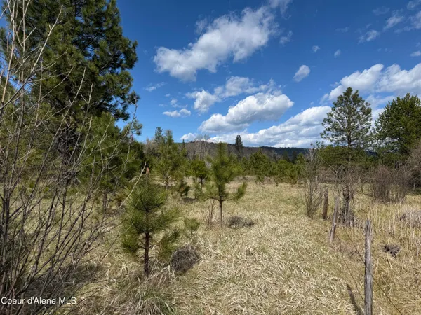 $3,995,000 | 3216 Dufort Road, Sagle, ID 83860