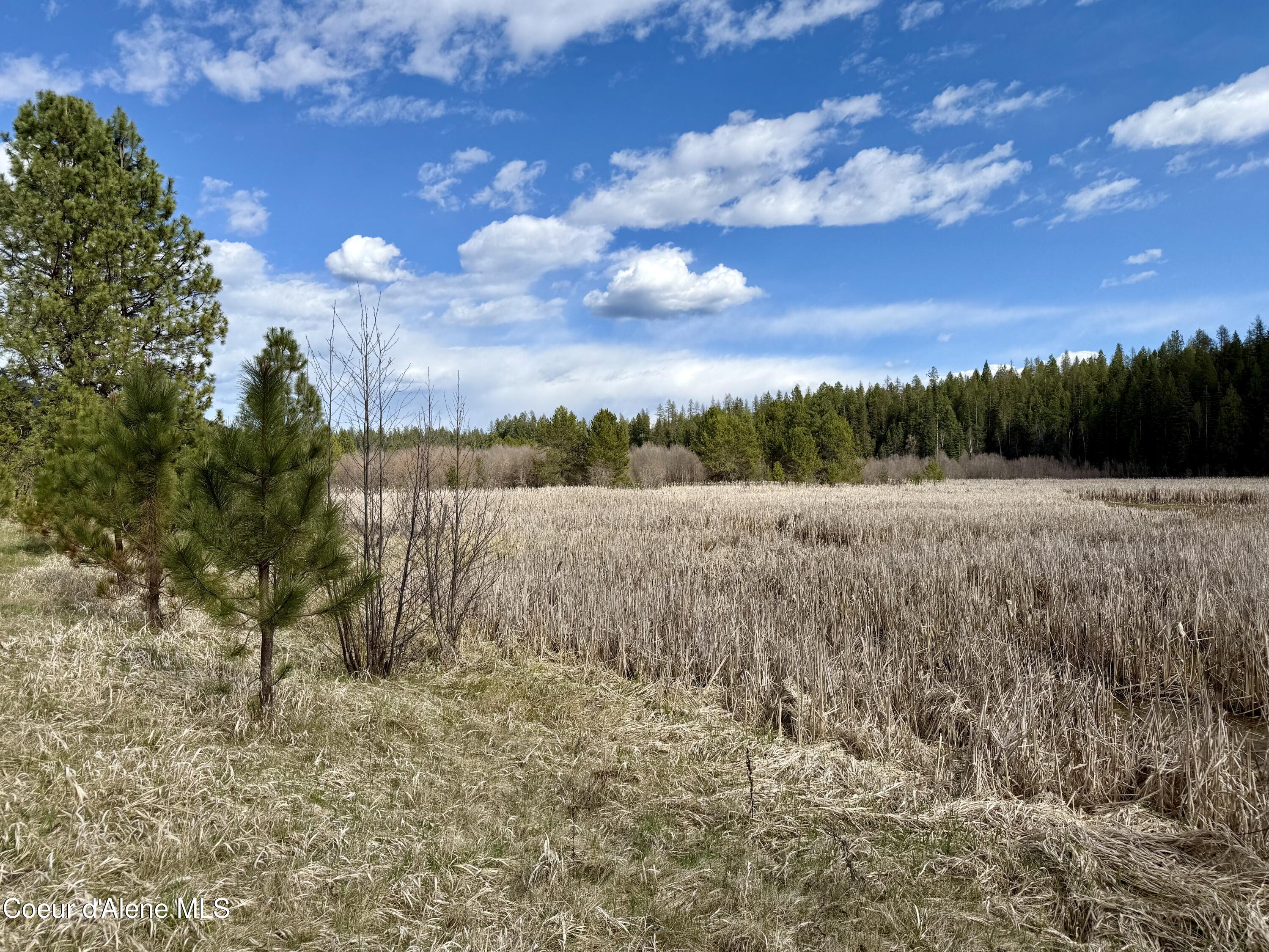 3216 Dufort Road Sagle, ID 83860 - Photo 76 of 99 IMG_1457