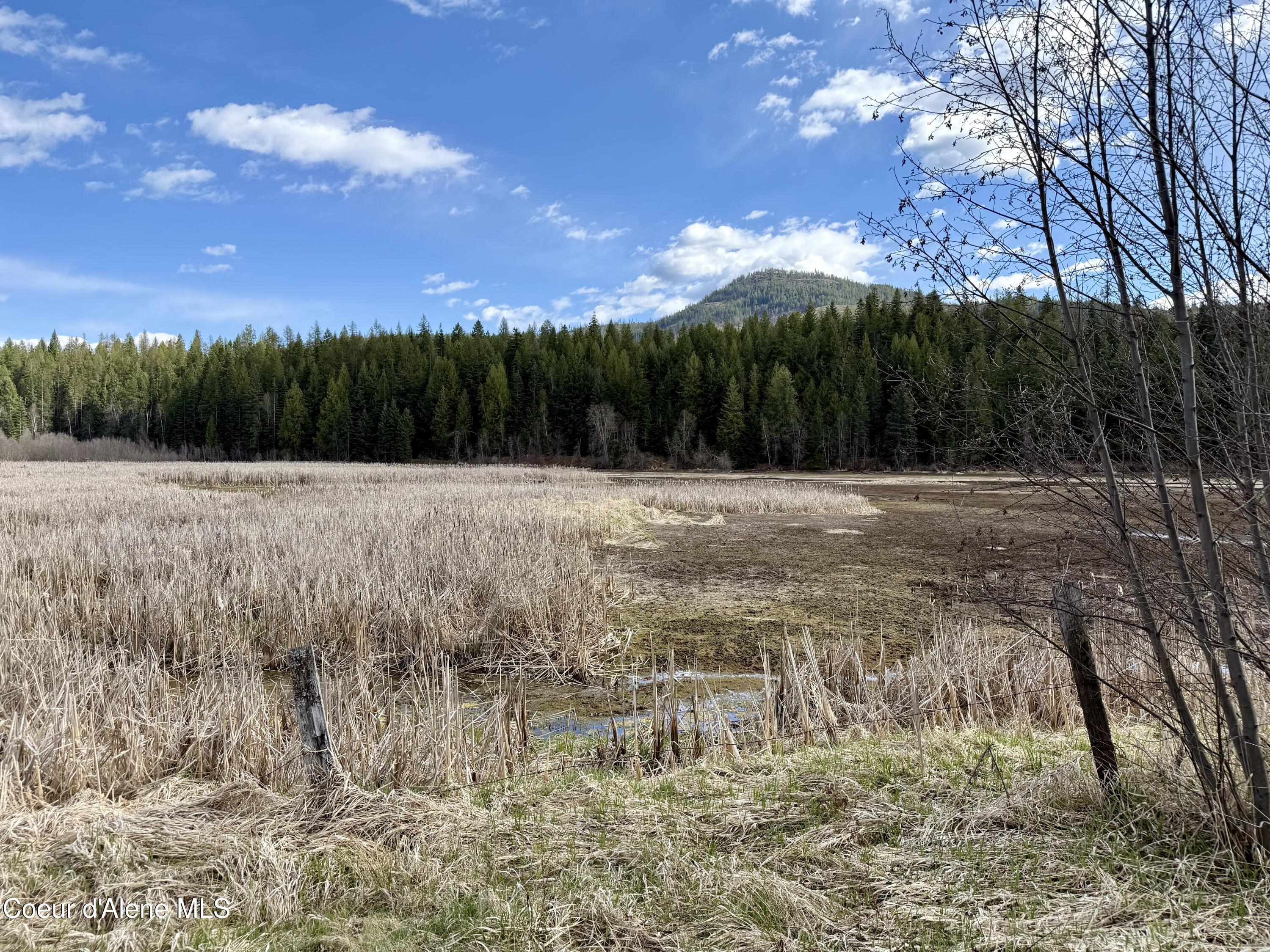3216 Dufort Road Sagle, ID 83860 - Photo 77 of 99 IMG_1456