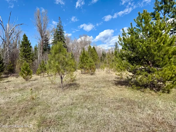 $3,995,000 | 3216 Dufort Road, Sagle, ID 83860