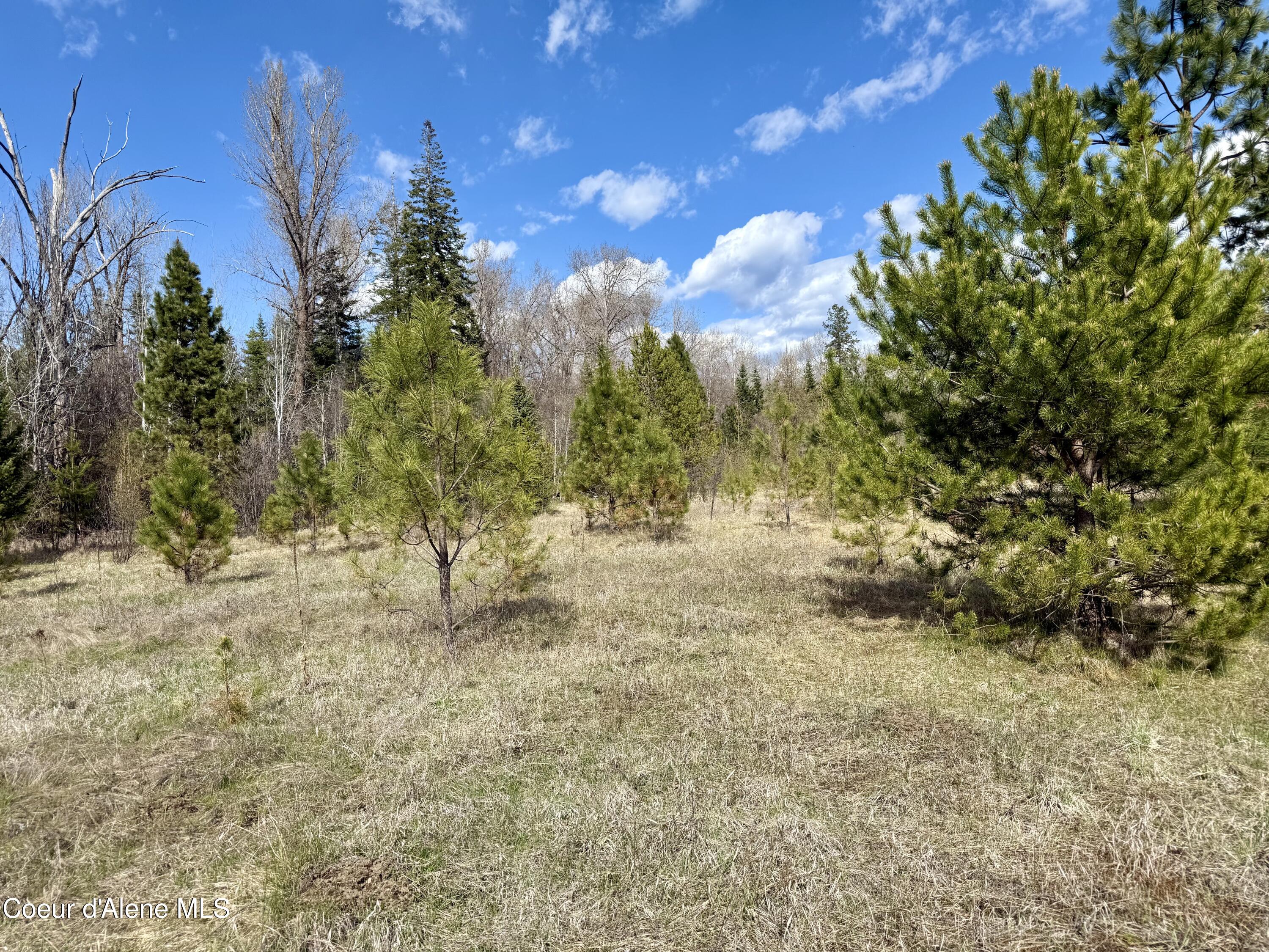 3216 Dufort Road Sagle, ID 83860 - Photo 78 of 99 IMG_1455