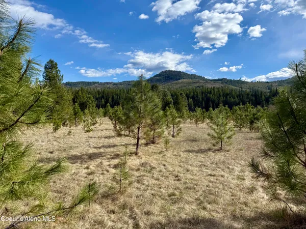 $3,995,000 | 3216 Dufort Road, Sagle, ID 83860