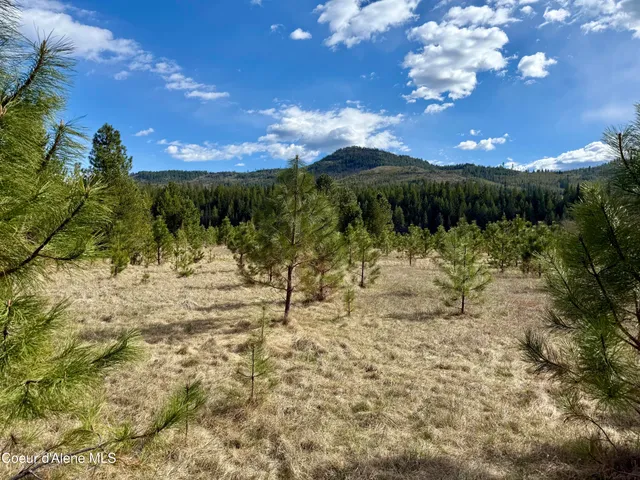 $3,995,000 | 3216 Dufort Road, Sagle, ID 83860
