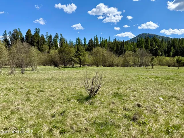 $3,995,000 | 3216 Dufort Road, Sagle, ID 83860