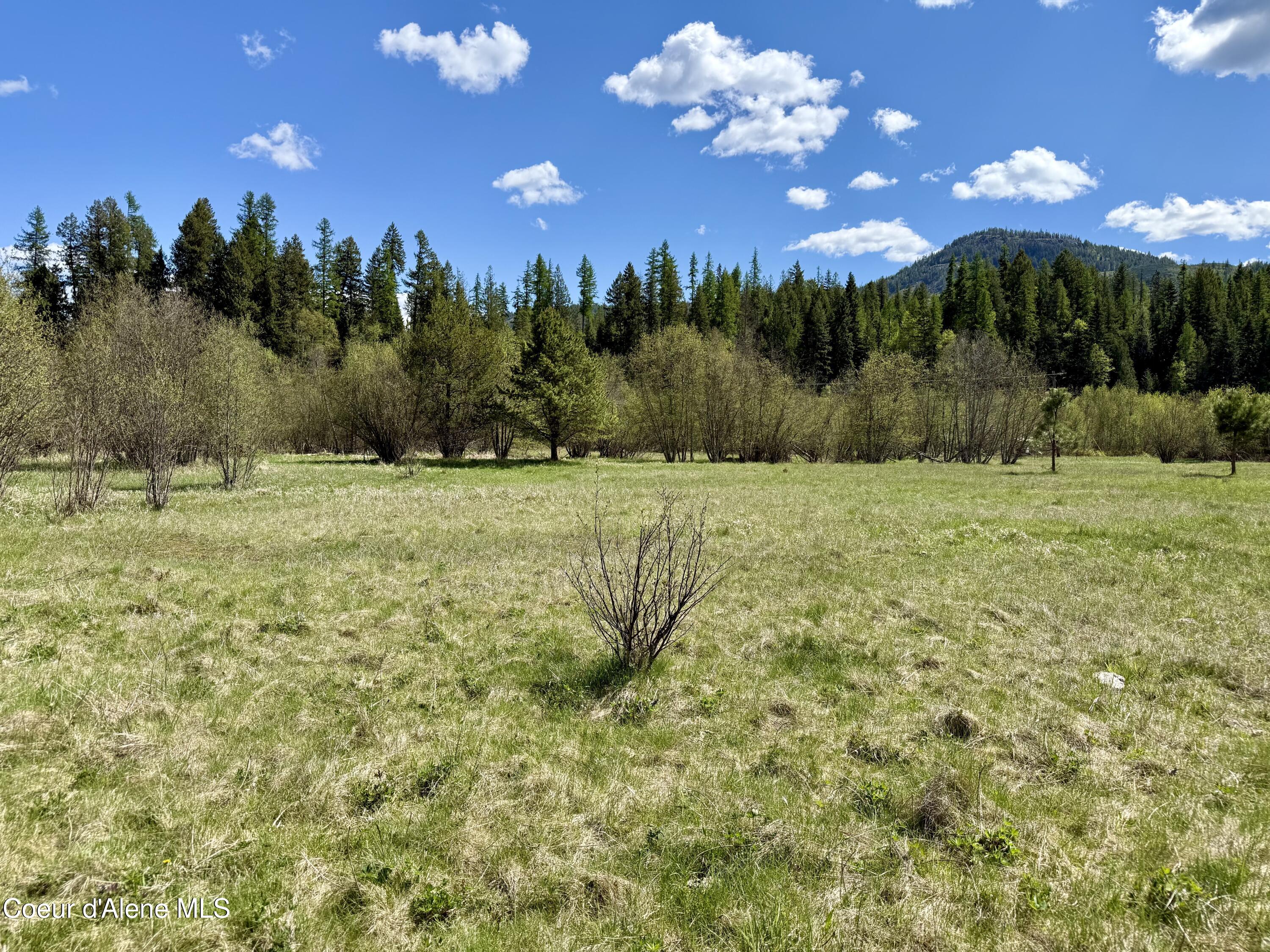 3216 Dufort Road Sagle, ID 83860 - Photo 80 of 99 IMG_1674