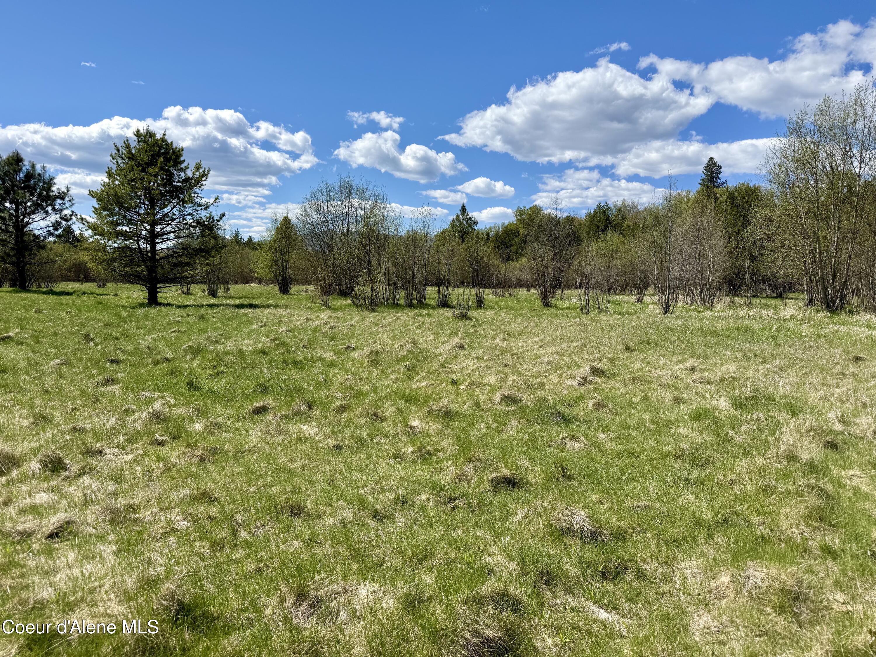 3216 Dufort Road Sagle, ID 83860 - Photo 81 of 99 IMG_1673