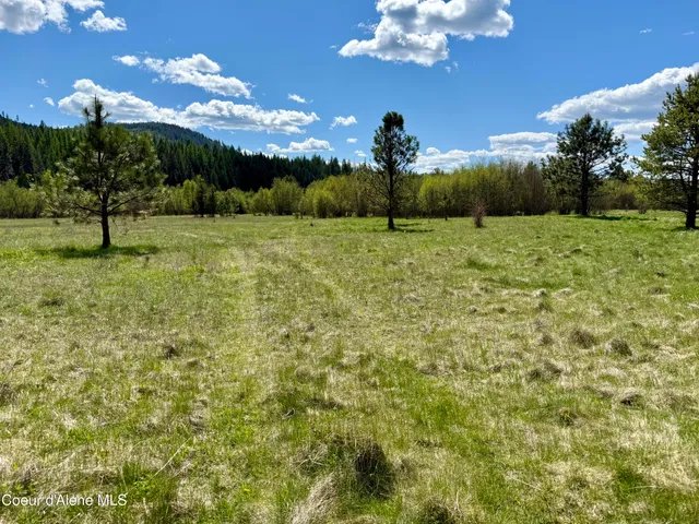 $3,995,000 | 3216 Dufort Road, Sagle, ID 83860
