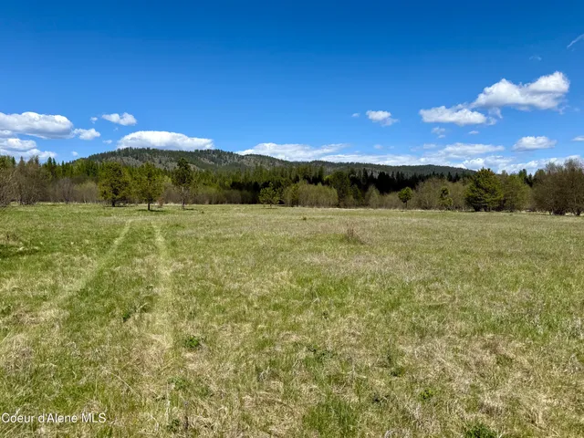 $3,995,000 | 3216 Dufort Road, Sagle, ID 83860
