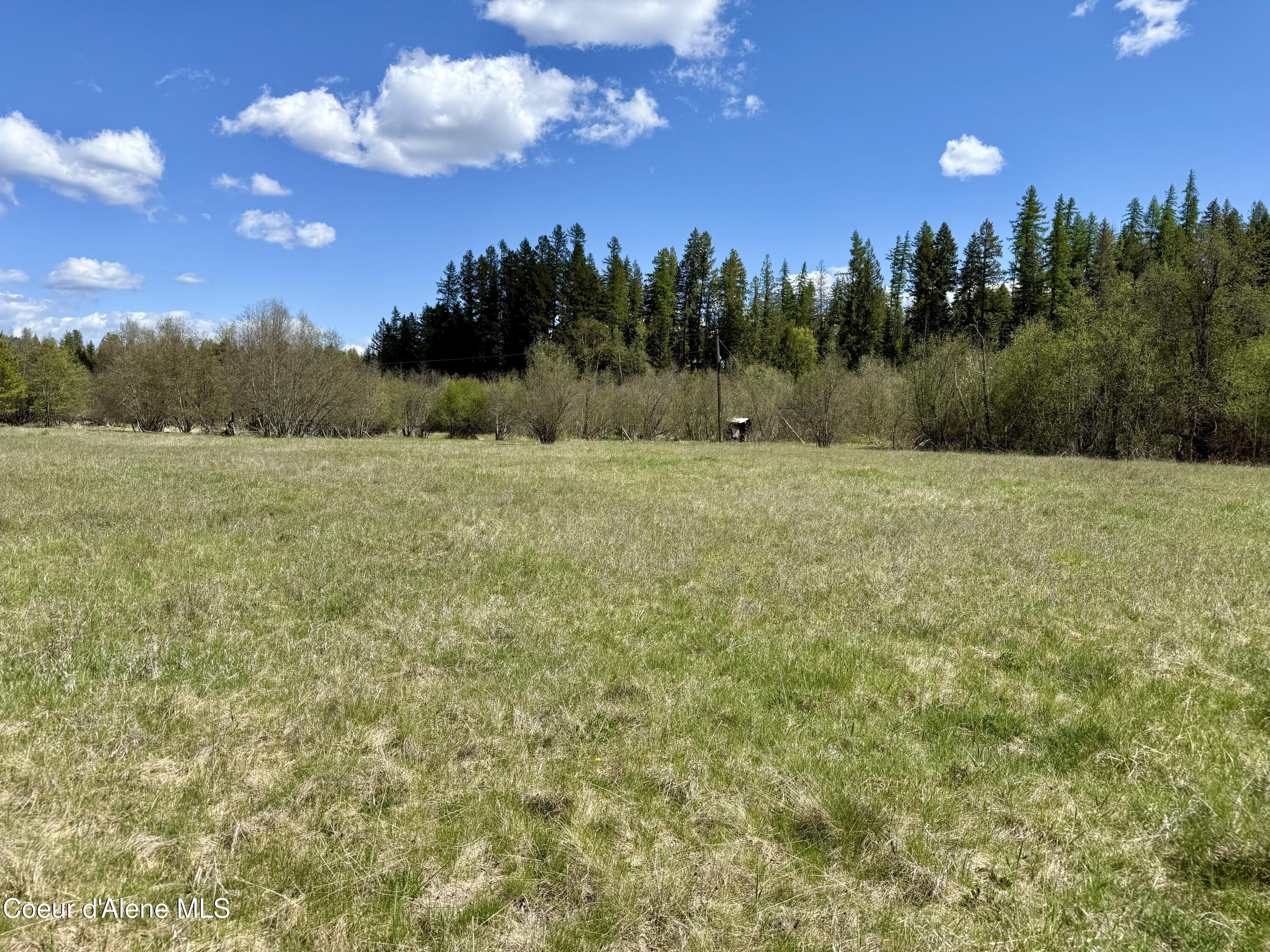 3216 Dufort Road Sagle, ID 83860 - Photo 85 of 99 IMG_1669