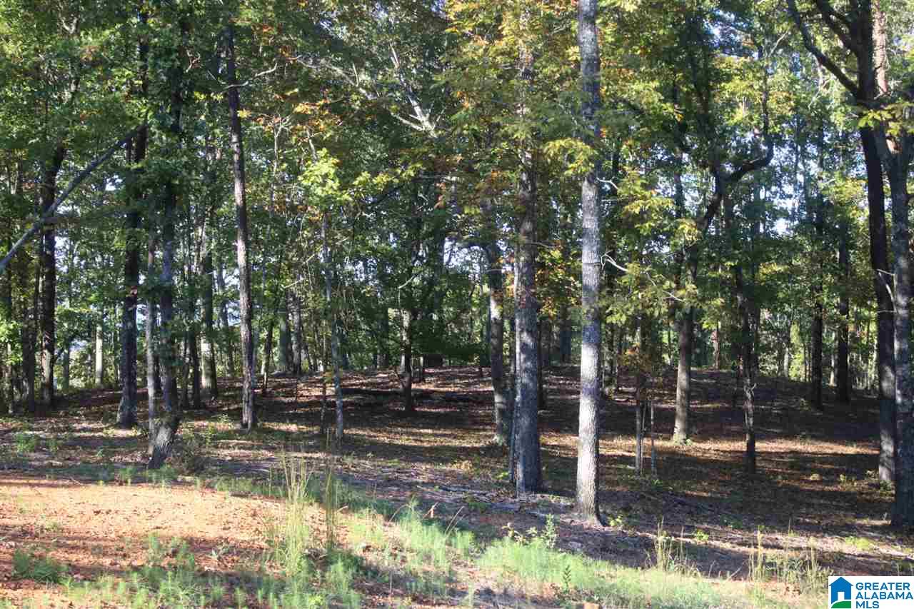 644 Washboard Road, Unit LOT 1 Columbiana, AL 35051 - Photo 3 of 9