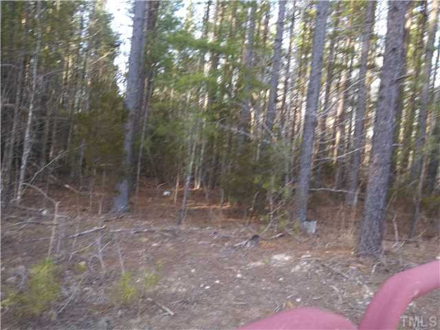 Pixley Pritchard Road Timberlake, NC 27583 - Photo 4 of 6 Photo 4