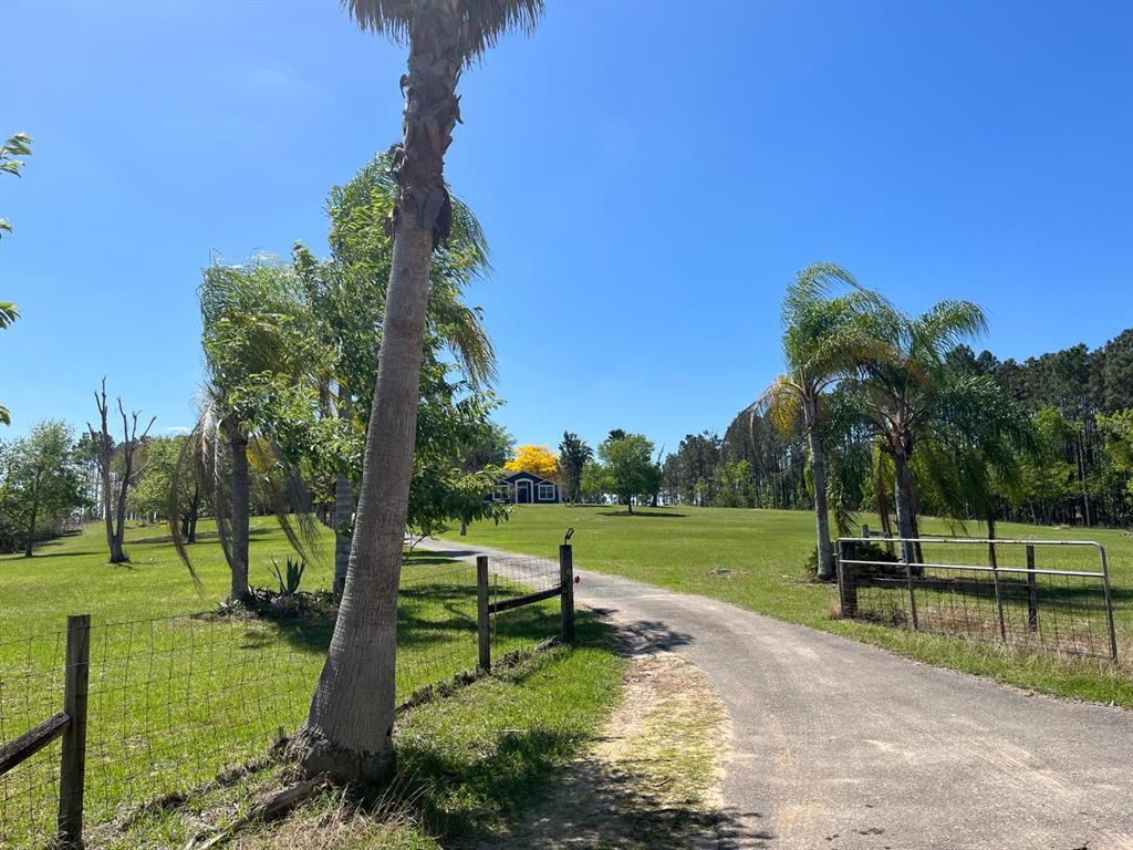 14520 Lost Lake Road Clermont, FL 34711 - Photo 31 of 47 a view of a park