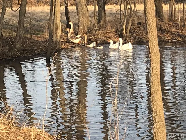 $775,000 | 38520 Pin Oak Church Road, Truxton, MO 63381