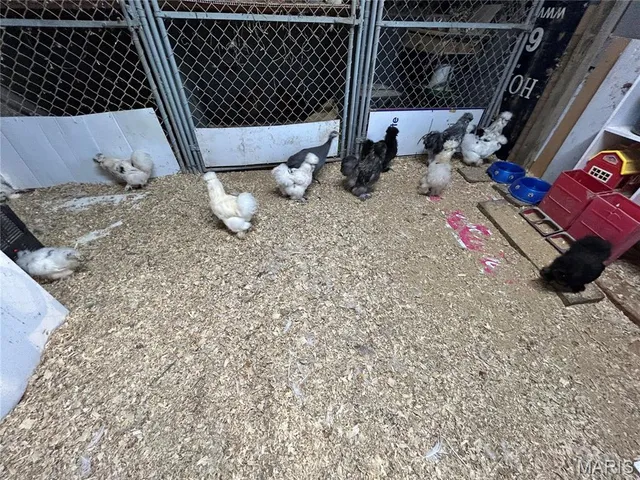 $775,000 | 38520 Pin Oak Church Road, Truxton, MO 63381