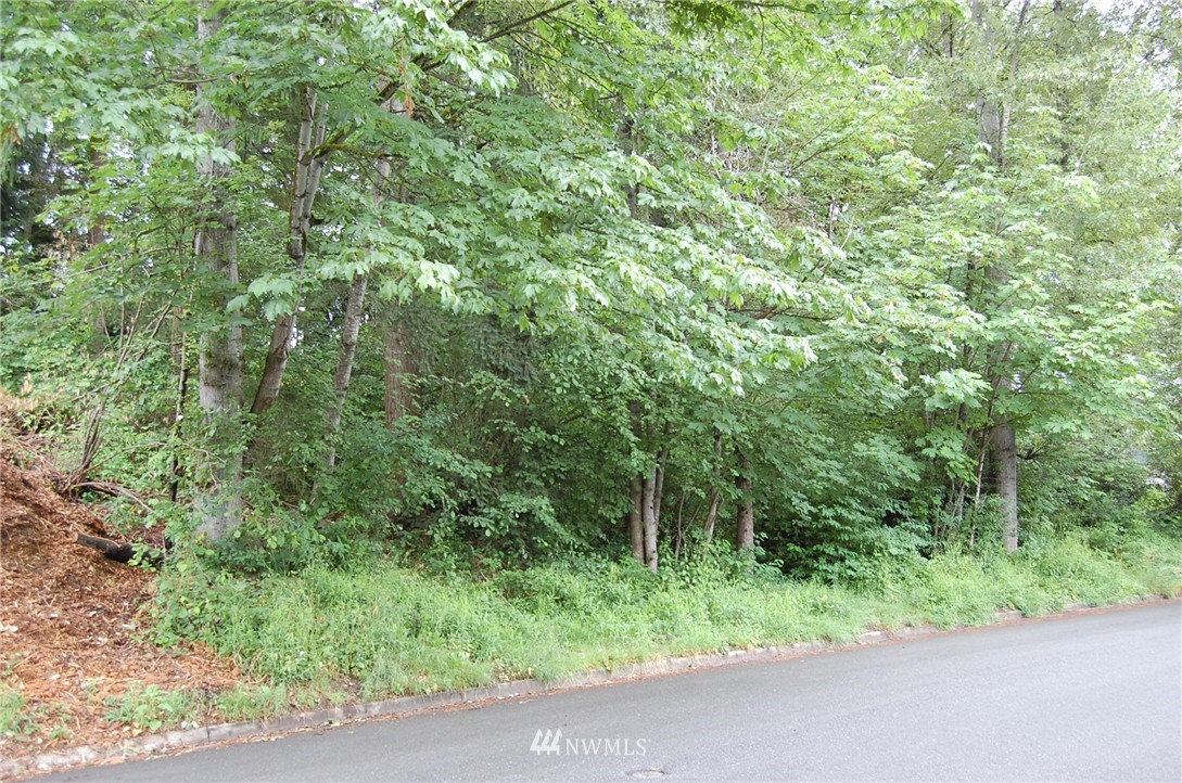 10807 Northeast 152nd Street Bothell, WA 98011 - Photo 6 of 23 Gallery Image 6