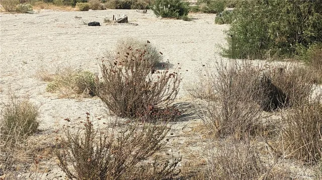 $2,000 | 0 Marilyn Street, Cabazon, CA 92230