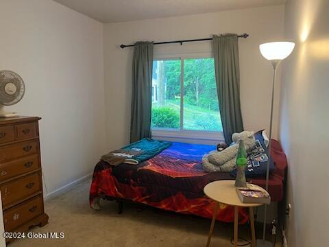 1976 Curry Road, Unit H160 Rotterdam, NY 12303 - Photo 20 of 32 Bedroom
