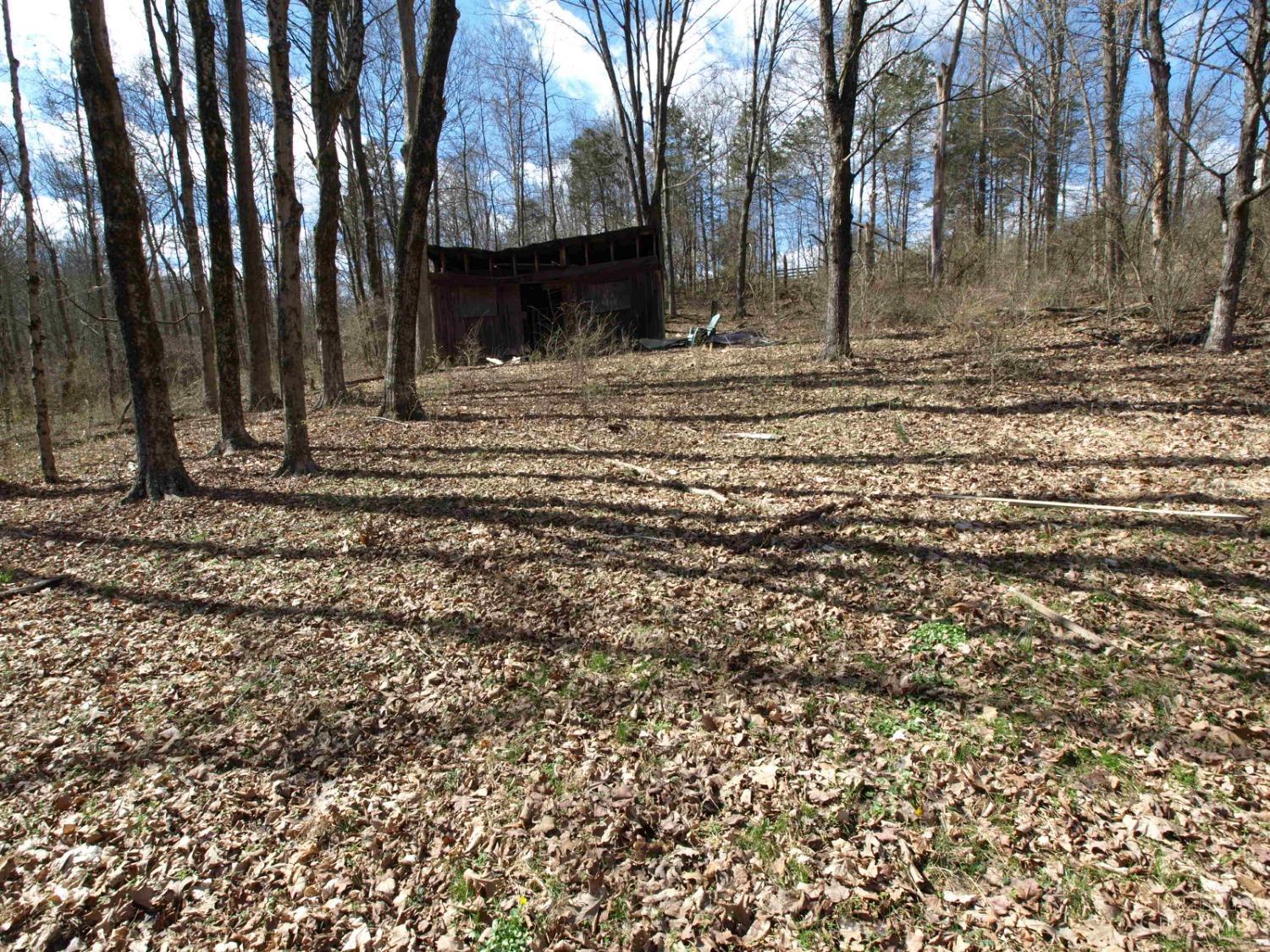 7315 Dog Trot Road Cincinnati, OH 45248 - Photo 47 of 49 Gallery Image 47