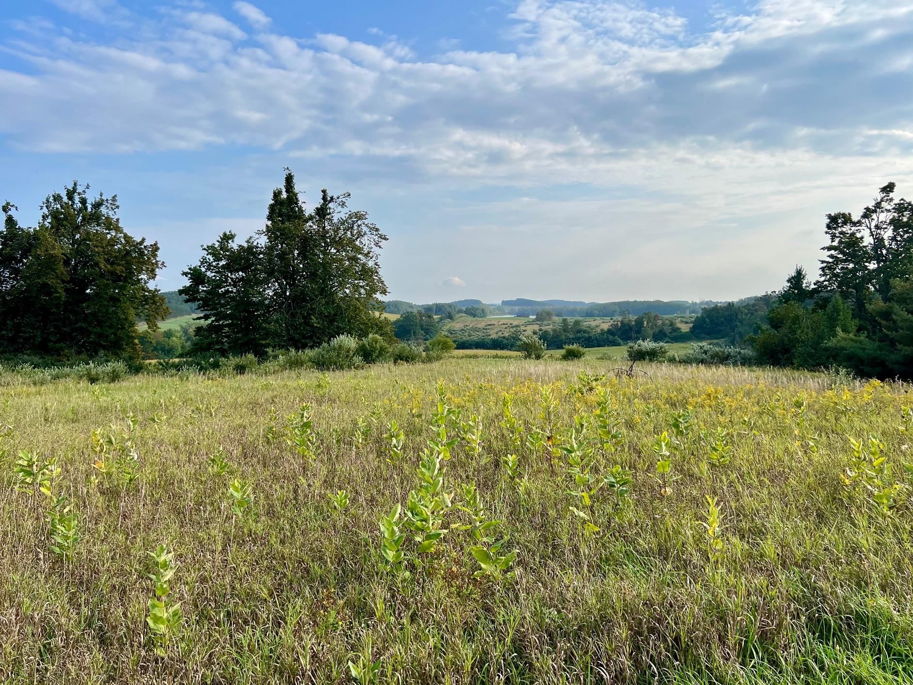 0 Skinner Road Charlevoix, MI 49720 - Photo 4 of 15