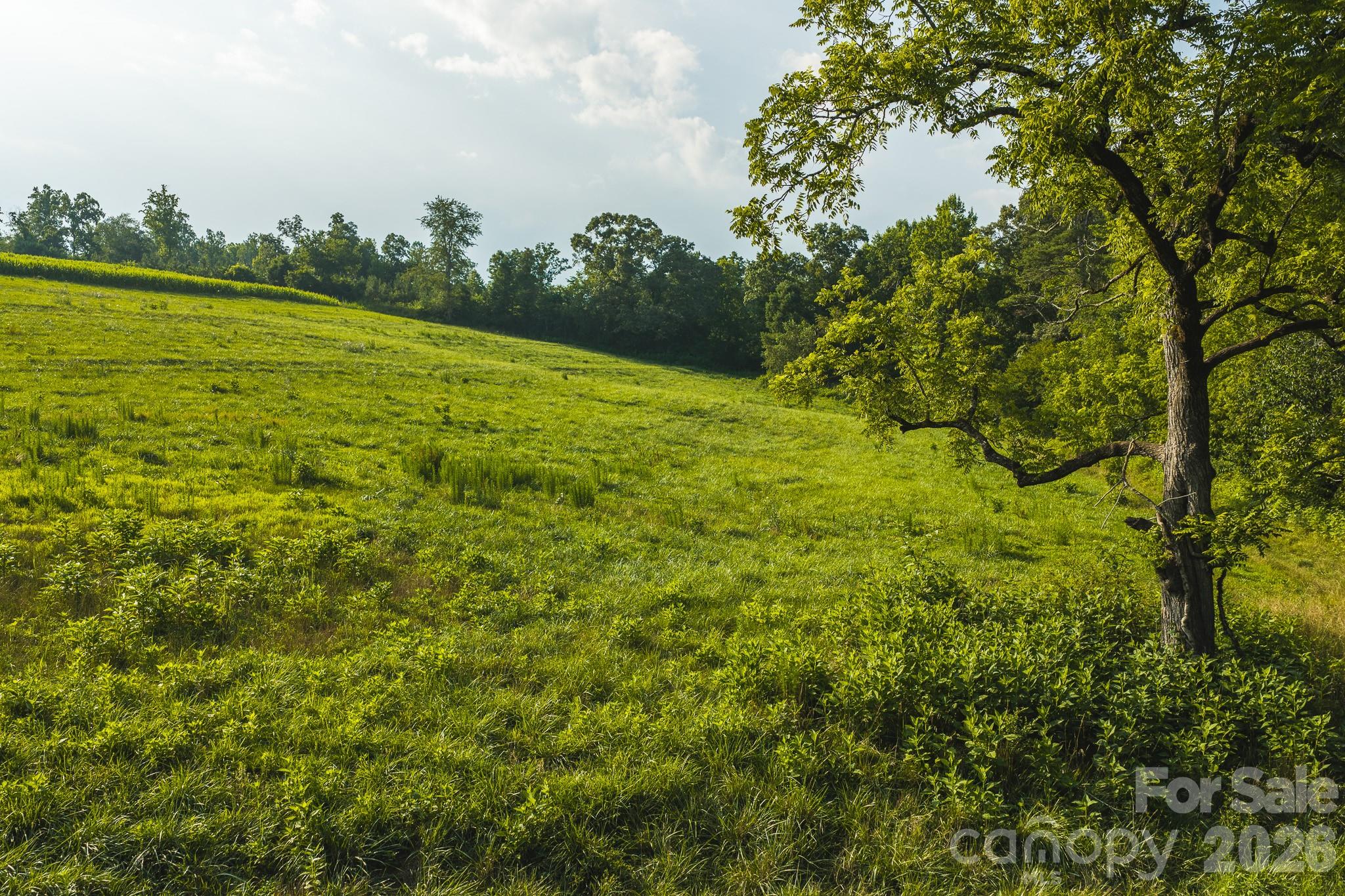 Tbd Sandbar Road Granite Falls, NC 28630 - Photo 20 of 43