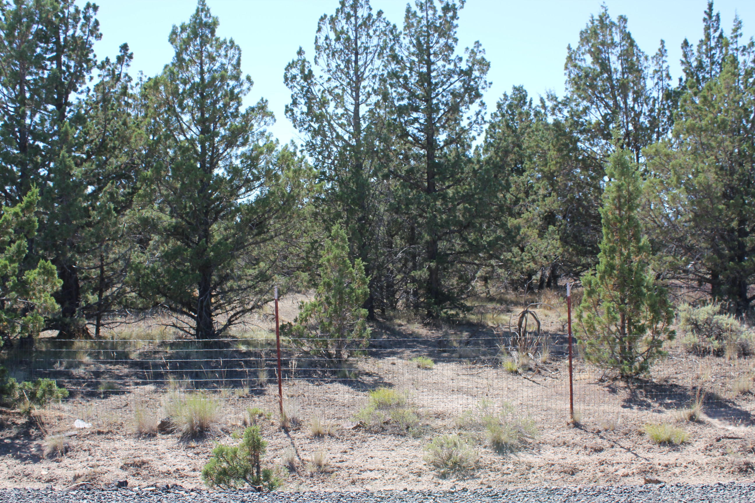 0 Southeast Wasco Road Prineville, OR 97754 - Photo 1 of 6 IMG_7148