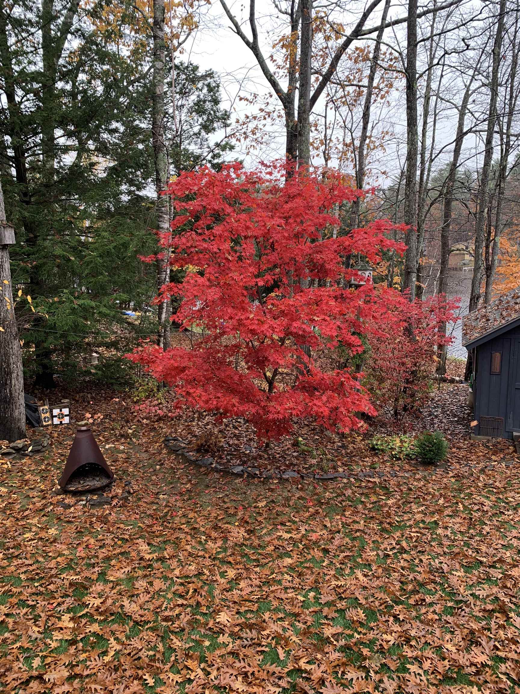 132 Varney Road Barnstead, NH 03225 - Photo 11 of 32