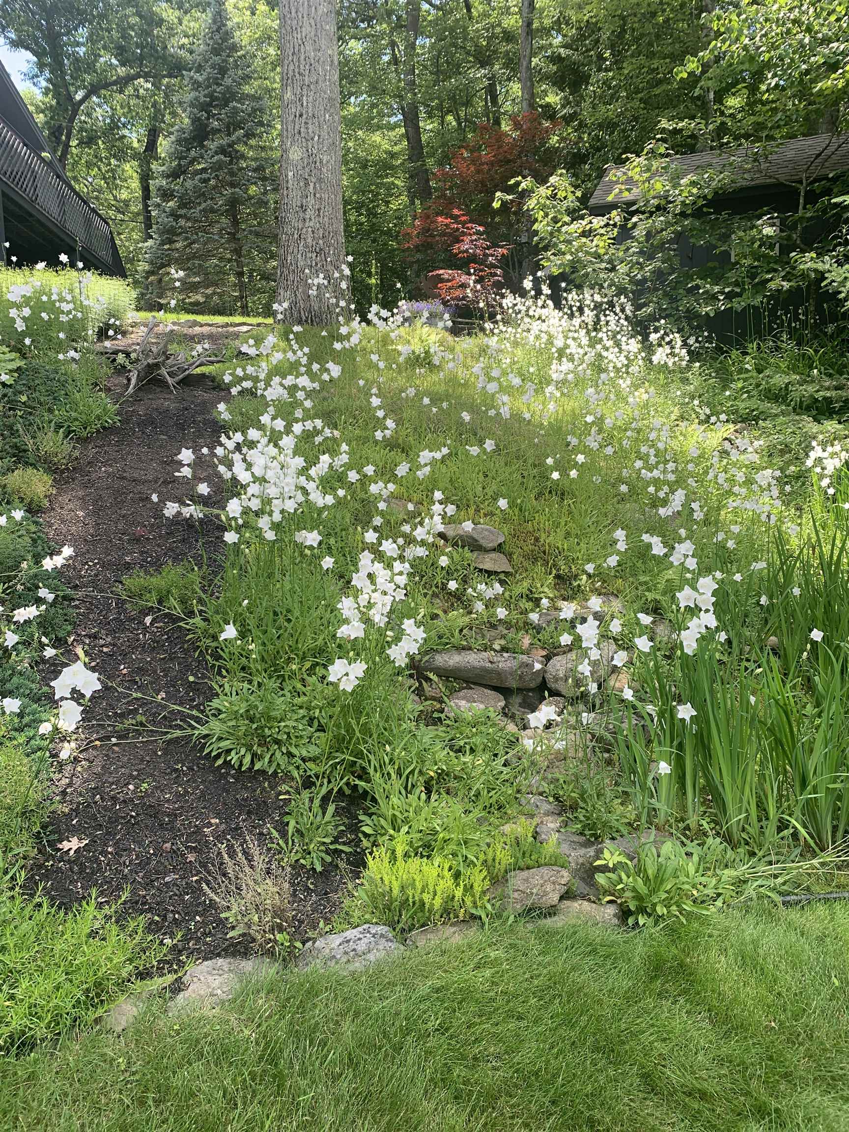 132 Varney Road Barnstead, NH 03225 - Photo 10 of 32