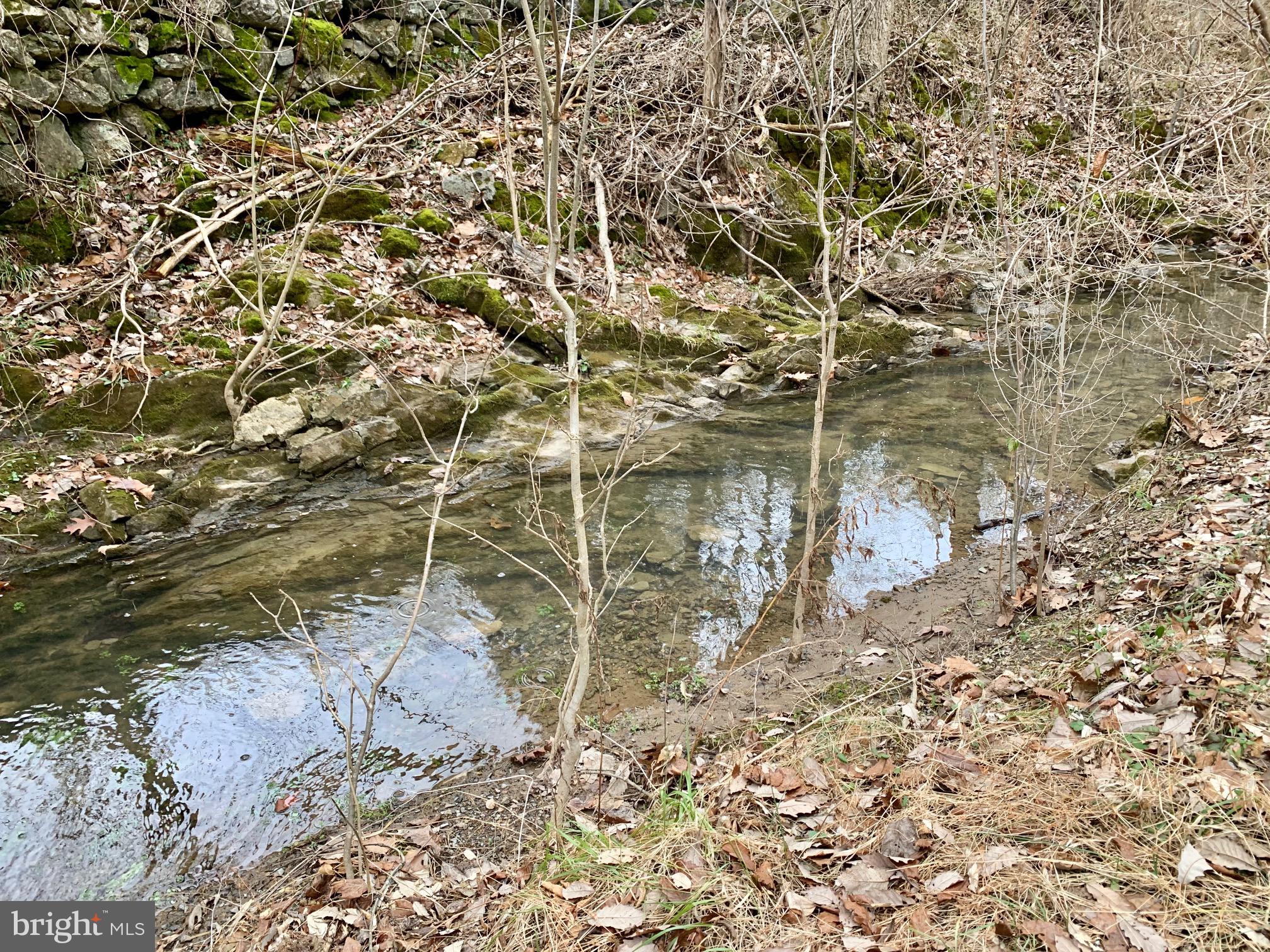 Oranda Road Strasburg, VA 22657 - Photo 8 of 22
