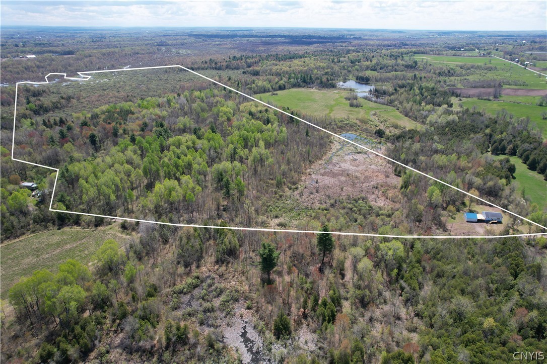 650 A E Road, Unit A De Peyster, NY 13654 - Photo 3 of 40 86 acres Prime property
