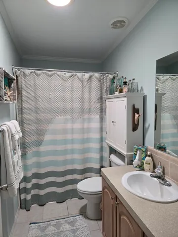 a bathroom with a sink a toilet and shower curtain