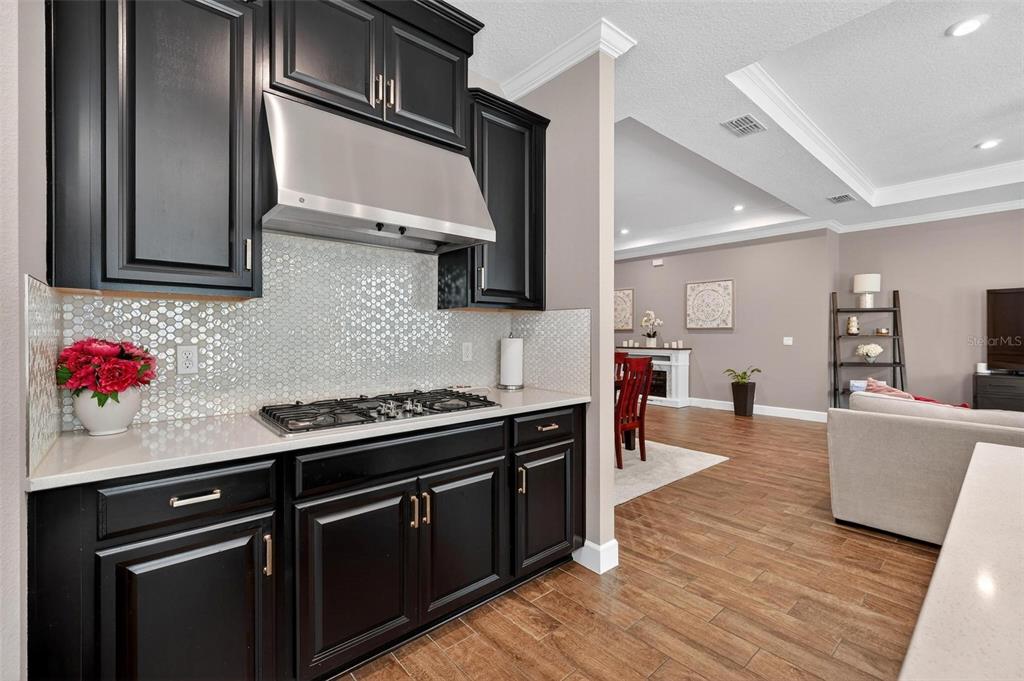 1235 Waterview Ridge Circle Apopka, FL 32703 - Photo 24 of 82 a kitchen with stainless steel appliances granite countertop a stove and cabinets