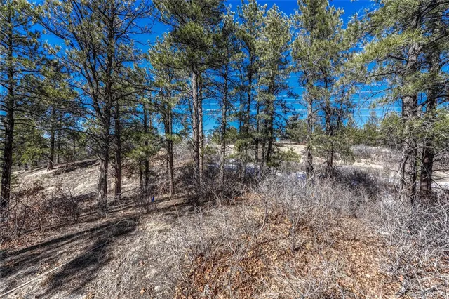 $445,500 | 2111 Ramblewood Court, Castle Rock, CO 80104